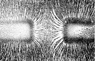 Illustration for article titled The Physics of Magnetic Nail Polish